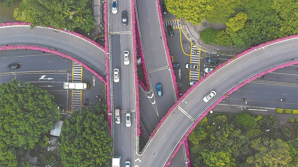 一路繁花