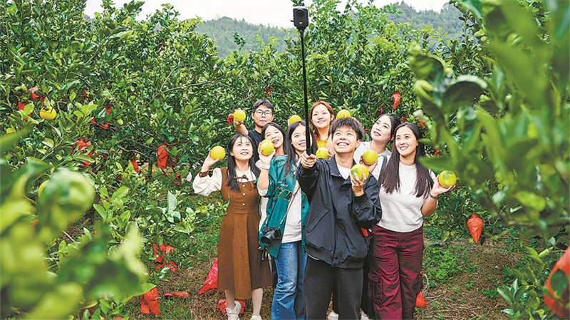 家庭农场引客来