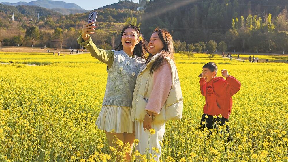 油菜花开引客来