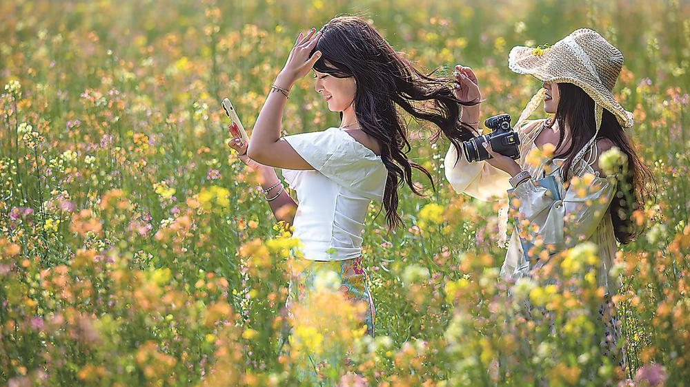 春暖，共赴花海