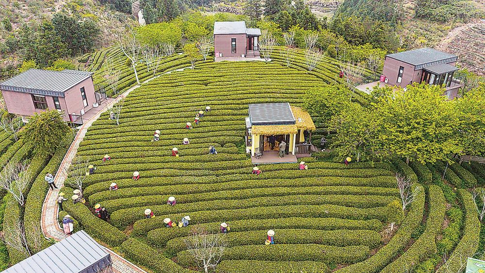 赴一场春天的约会