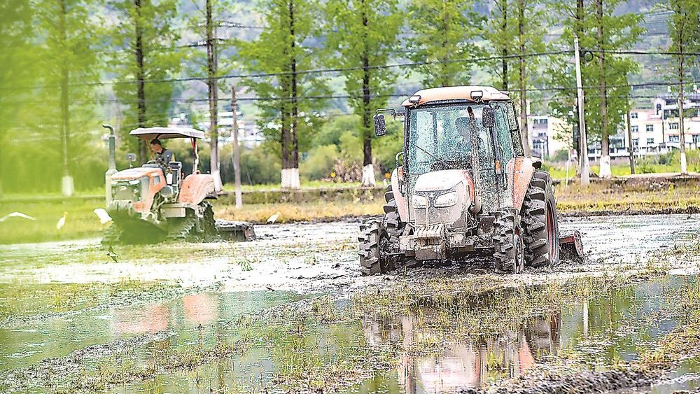 南平市松溪县迎来春耕关键期