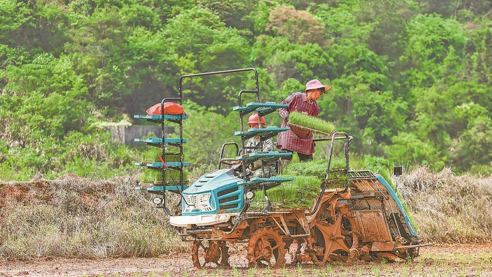 农田穿梭插秧机