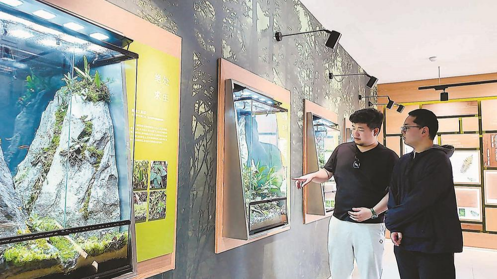武夷山国家公园1号风景道上6座“小而美”主题展馆全新开放