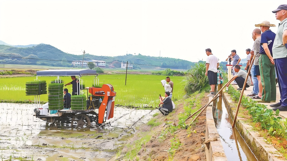 建宁县举办杂交水稻制种母本抛秧新技术现场观摩会