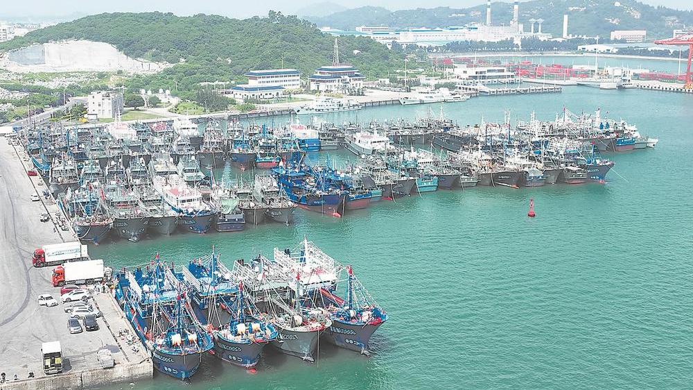 东山大澳渔港渔船集中避风