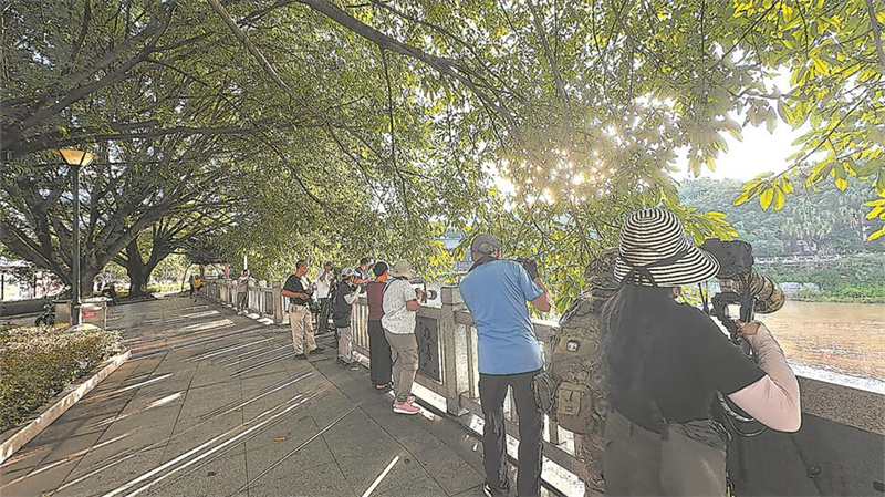 生态出圈 稀客到访