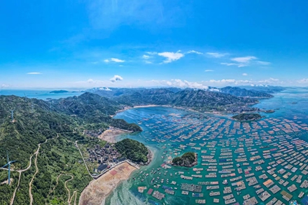 Fuzhou one-stop maritime dispute center resolves all disputes in first year