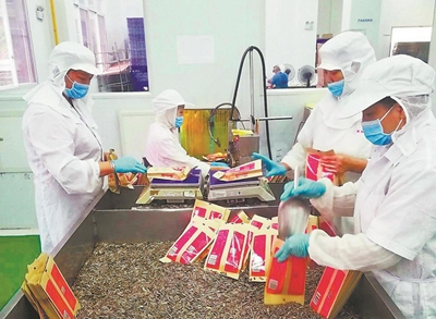 Fujian-Taiwan integration revitalizes time-honored brands