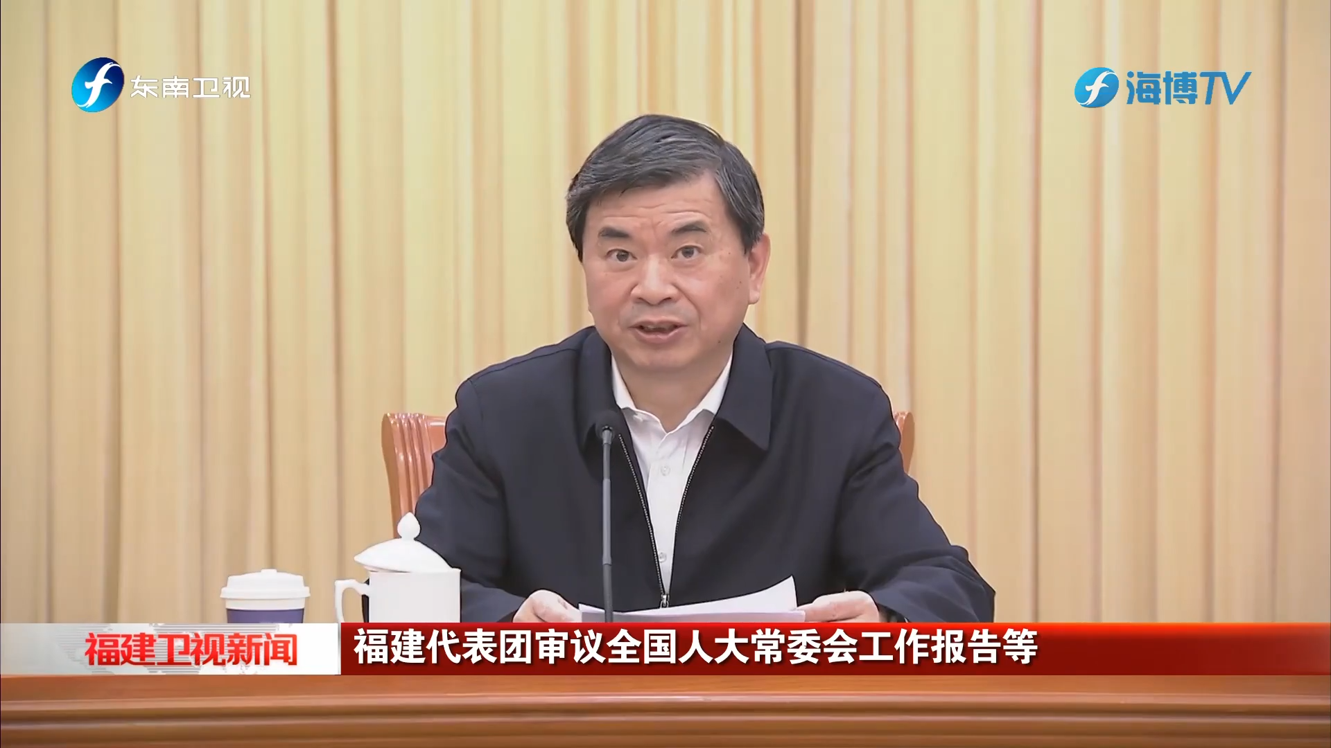 福建代表团审议全国人大常委会工作报告等